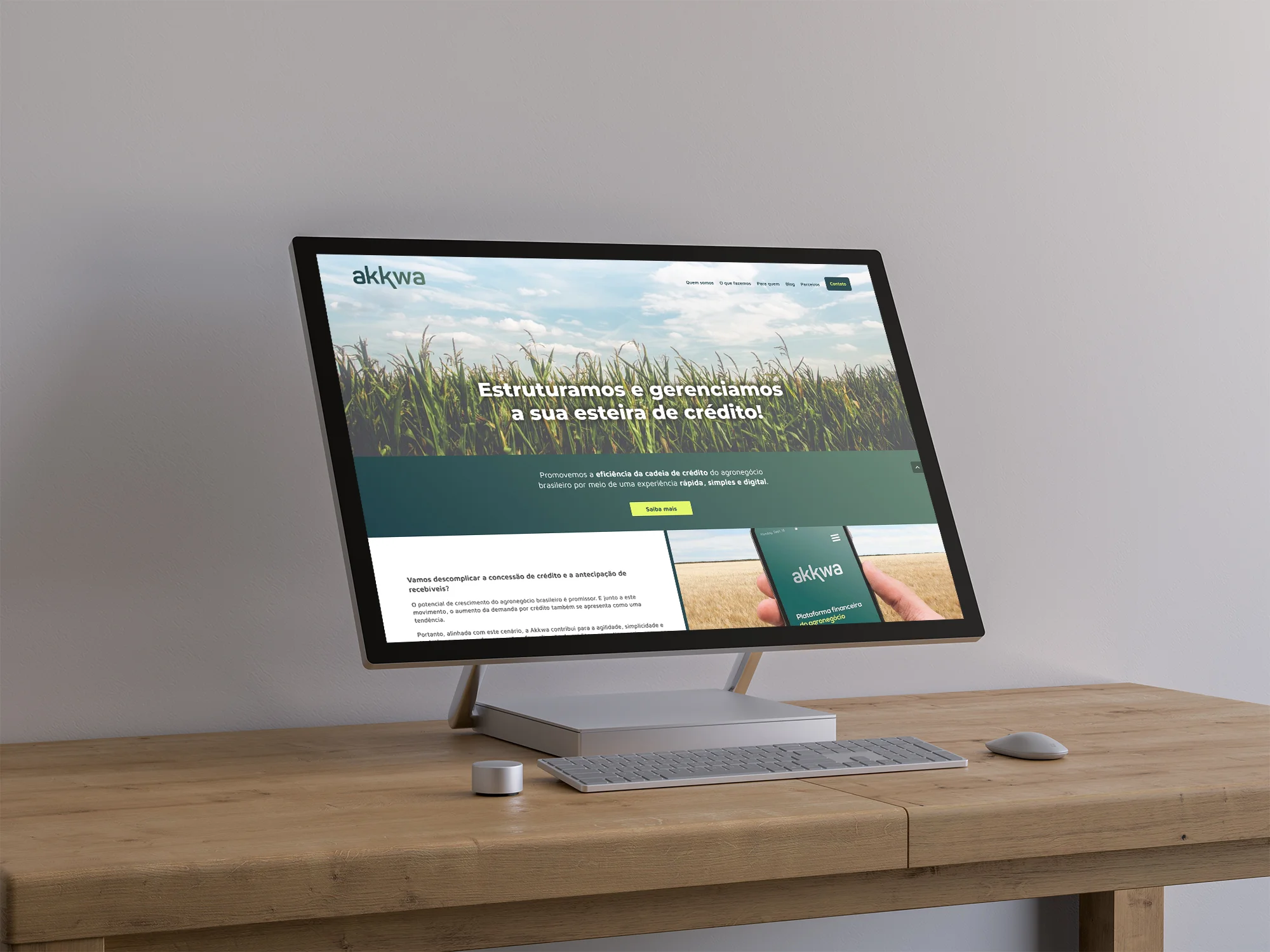 Akkwa site mockup.jpg