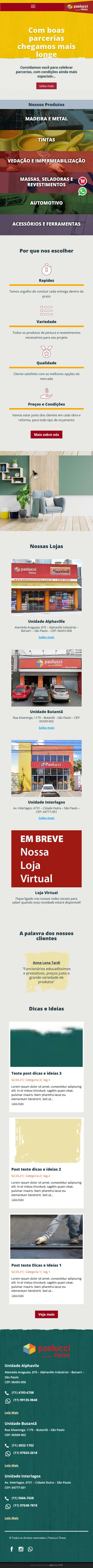 Paolucci Tintas site print 01 home mobile.jpg